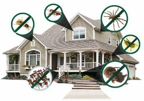 Residential Pest Control Service ft5nv5g6